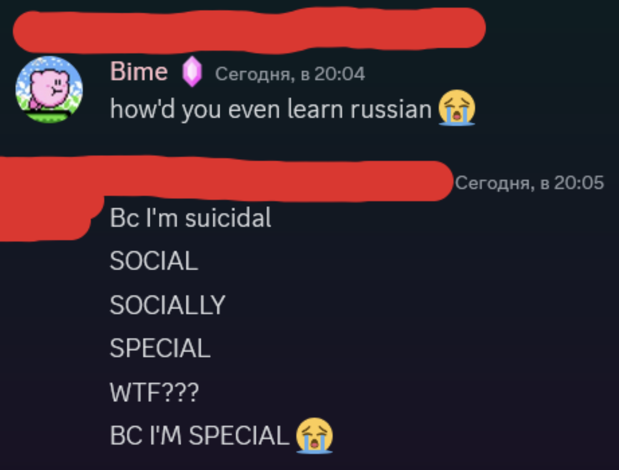 screenshot - Bime , how'd you even learn russian Bc I'm suicidal Social Socially Special Wtf??? Bc I'M Special ,